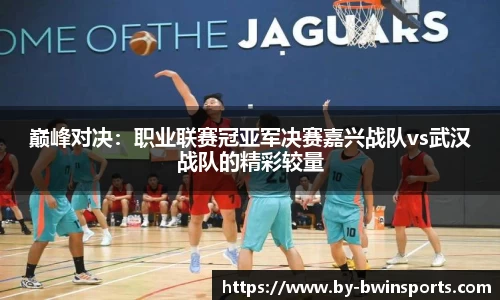 巅峰对决：职业联赛冠亚军决赛嘉兴战队vs武汉战队的精彩较量
